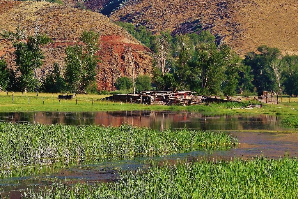 Idaho Scene